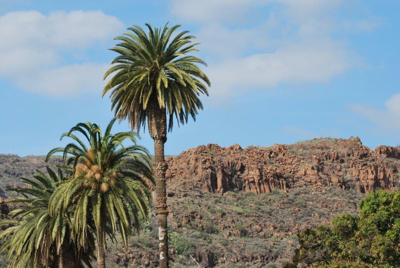 Appartement Frailes I San Sebastián de la Gomera